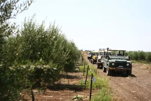 טיול לקבוצות בגולן